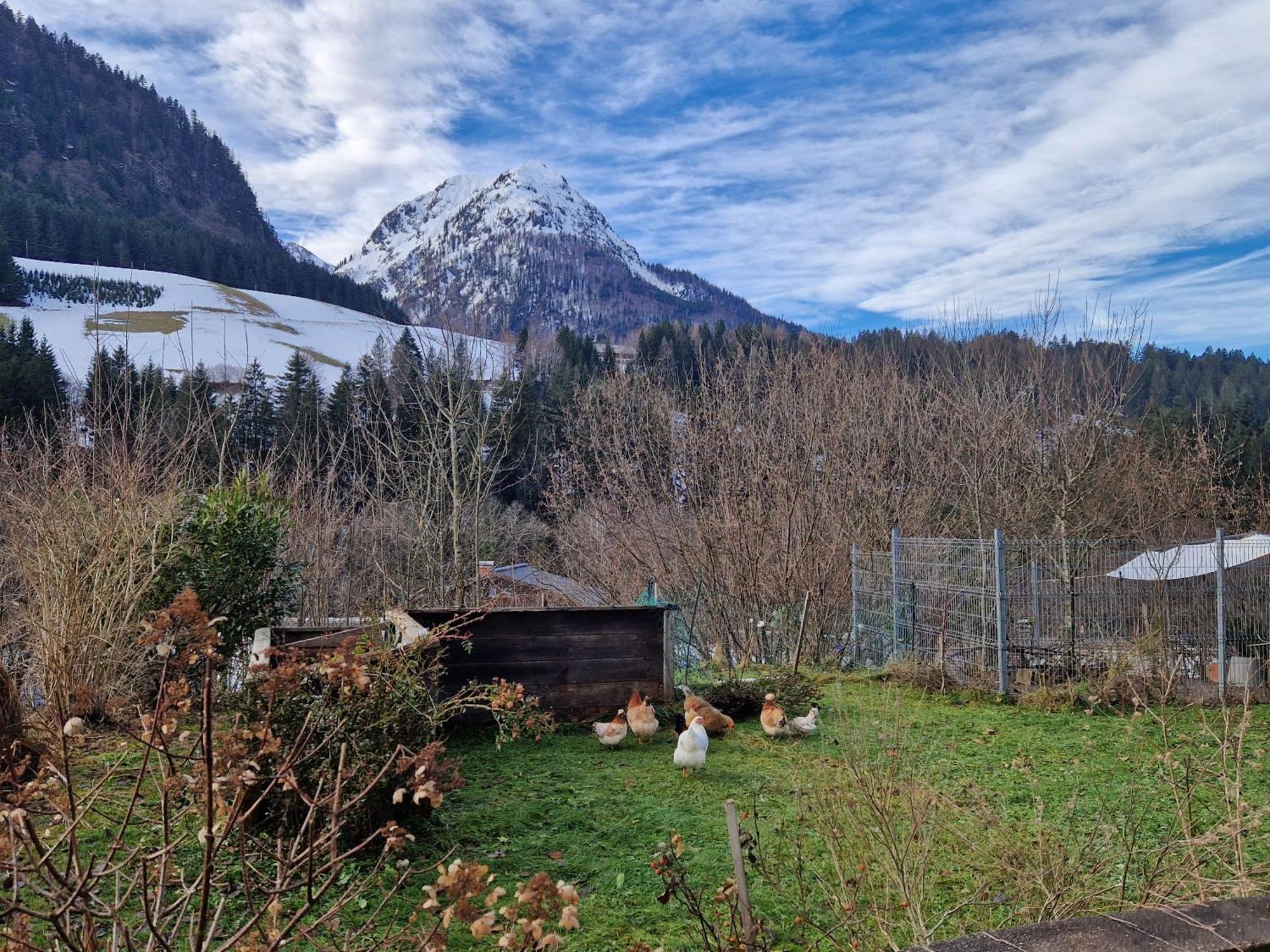 Kachelofenwohnung Poelzleitner Annaberg im Lammertal Exterior photo